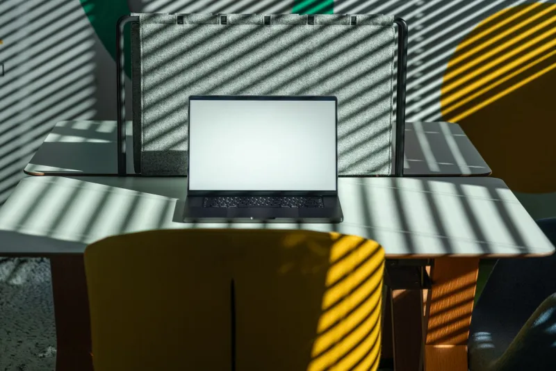 Empty Inboxes, Full Pools: The Case for August as America's Official Do-Nothing Month