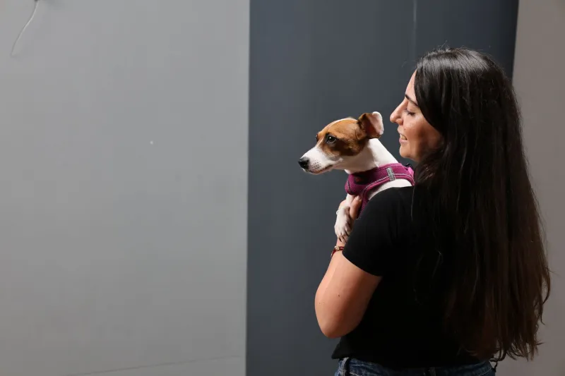 Good Boys, Great Ratings: The TV Dogs Who Out-Acted Everyone On Set