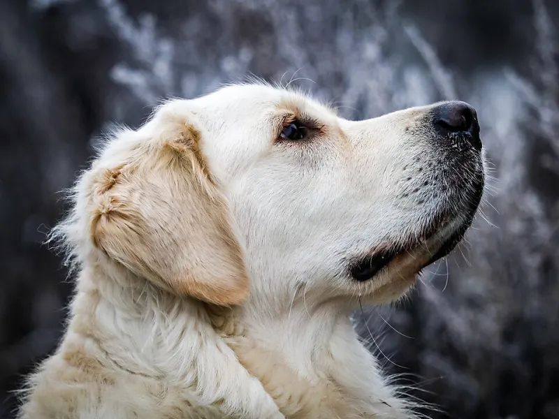 Wiggle Butts of the Aisle Five: Ranking America's Most Aggressively Friendly Welcomers